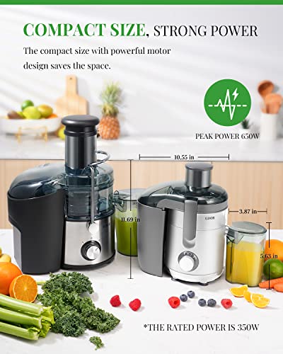 600W Raw Food Juicer with Titanium Cut Disc