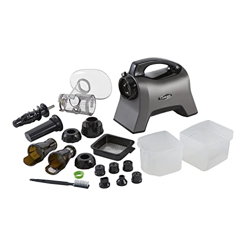 Omega MM1500GY Medical Medium Masticating Juicer, Cold Press