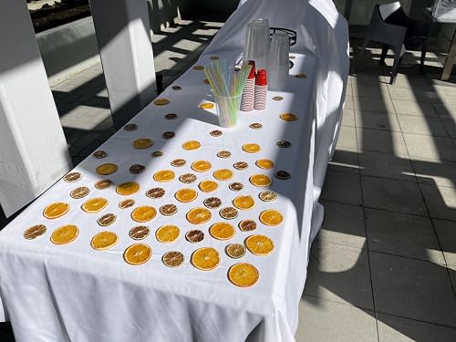 55+ Piece Dehydrated Lime Slices for Cocktails & Decor