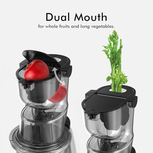 SiFENE Cold Press Juicer - Large Feed Chute