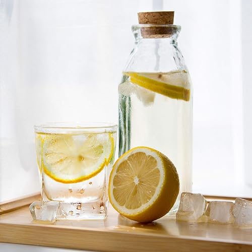 WYLSBSP Dried Lemon Slices for Cocktails/Tea/Cake Decoration, 17.63oz