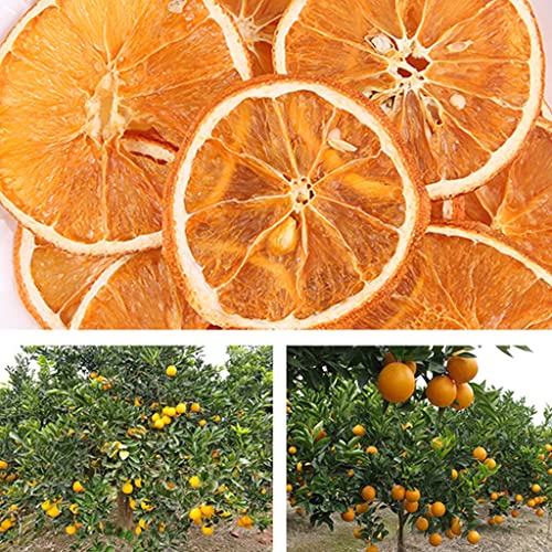 Dried Orange Slices, Citrus for Cocktails, Decor, Tea
