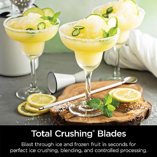 Professional Ninja Blender for Frozen Drinks, Smoothies & More