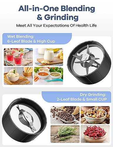 Ganiza Smoothie Blender & Grinder Combo for Kitchen