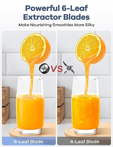 Ganiza Smoothie Blender & Grinder Combo for Kitchen