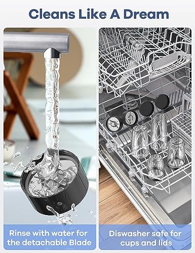 Ganiza Smoothie Blender & Grinder Combo for Kitchen