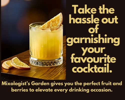 Dried Orange Slices for Cocktails - Freeze-Dried Flavorful Garnish