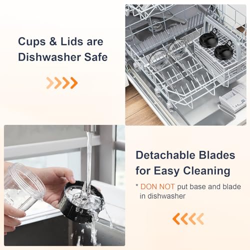 900W Smoothie Blender with 2 BPA-Free Bottles