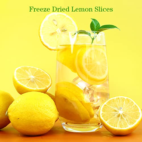 1-Pack Freeze Dried Lemon Slices for Healthy Drinks