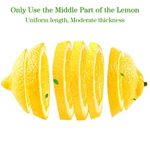 1-Pack Freeze Dried Lemon Slices for Healthy Drinks