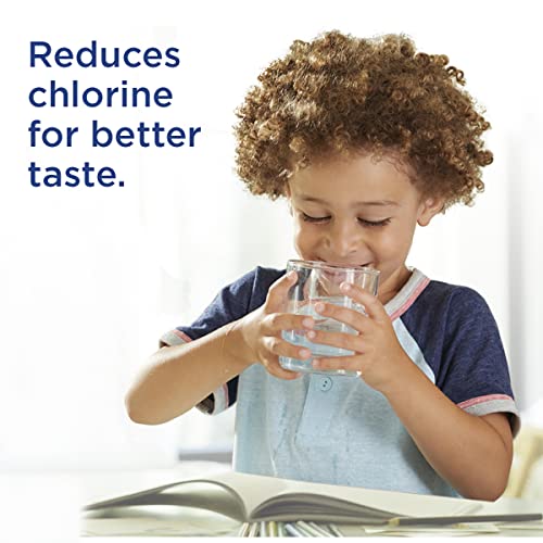 PUR Water Pitcher & Dispenser Replacement Filter 2-Pack, Genuine PUR Filter, 2-in-1 Powerful Filtration and Faster Filtration, 4-Month Value, Blue (PPF900Z2)