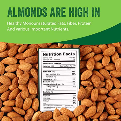 Natural 3lb Whole Almond Tested Gluten & Peanut Free