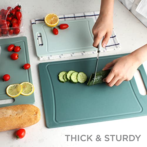 COOK WITH COLOR Cutting Board Set- 3 Pc. Kitchen Cutting Board Set - Large, Medium and Small Cutting Boards with Non Slip Bottom for Meat, Veggies, Fruits, Easy Grip Handle (Mint)