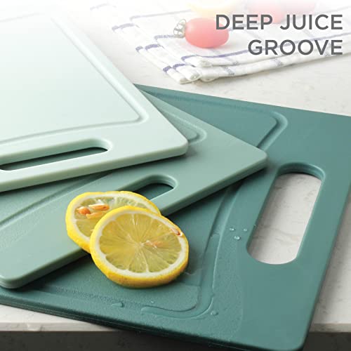 COOK WITH COLOR Cutting Board Set- 3 Pc. Kitchen Cutting Board Set - Large, Medium and Small Cutting Boards with Non Slip Bottom for Meat, Veggies, Fruits, Easy Grip Handle (Mint)