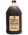 Desert Creek Premium Raw Texas Honey - 1 Gallon