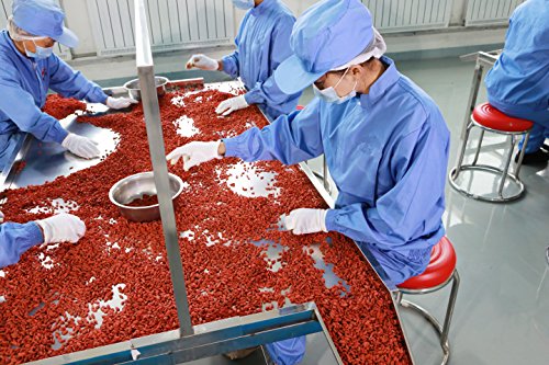 Organic Goji Berries | 16 oz | Raw