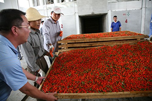 Organic Goji Berries | 16 oz | Raw