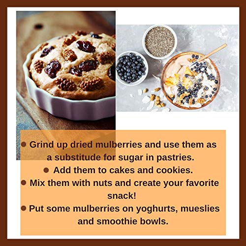 Organic White Dried Mulberries, Non-GMO, Unsulfured, Superfood, 10oz