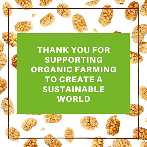 Organic White Dried Mulberries, Non-GMO, Unsulfured, Superfood, 10oz