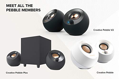 USB-C Desktop Speakers with Adapter and Cable