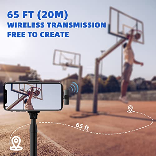 USB-C Wireless Lavalier Microphone with Adapter