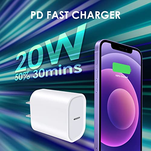 20W USB-C iPhone Charger 2-Pack