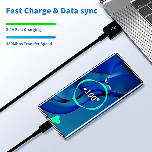 Fast Charge USB-C Cable Pack (2)