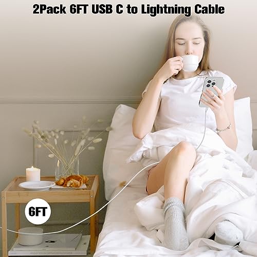 2M USB-C to Lightning Cable 2-Pack for iPhone