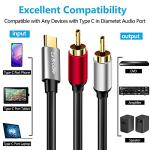 USB-C to Dual RCA Audio Cable for TV