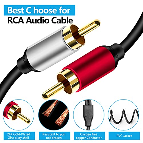 USB-C to Dual RCA Audio Cable for TV