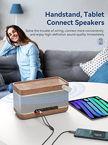 SOOMFON USB-C to RCA Audio Cable 2M