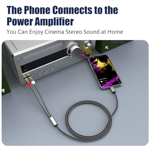 USB-C to Dual RCA Audio Cable - Black