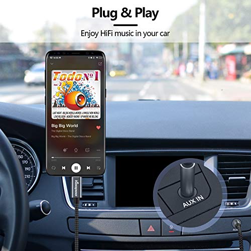 USB-C to 3.5mm Aux Audio Cable with Mic