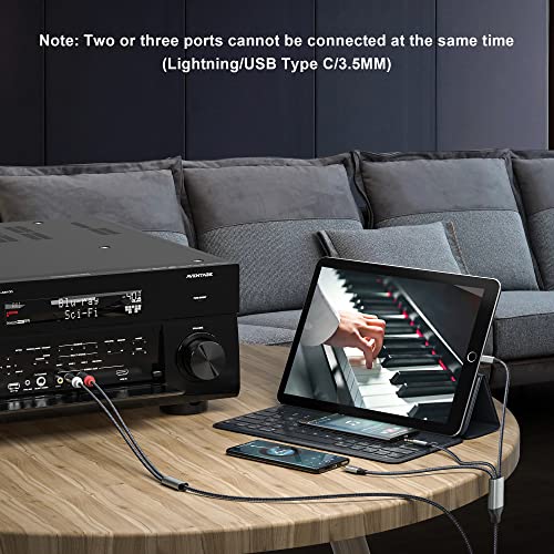 USB-C to RCA Audio Adapter Cable, 3 in 1