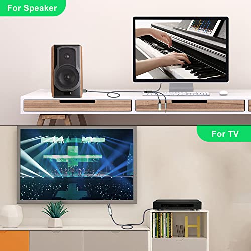 USB-C to RCA Audio Adapter Cable, 3 in 1