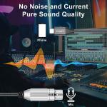 Braided USB-C to XLR Microphone Audio Cable