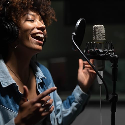 Braided USB-C to XLR Microphone Audio Cable