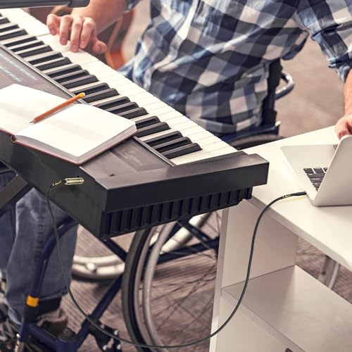 USB-C to 6.35mm Guitar Audio Cable, 2m