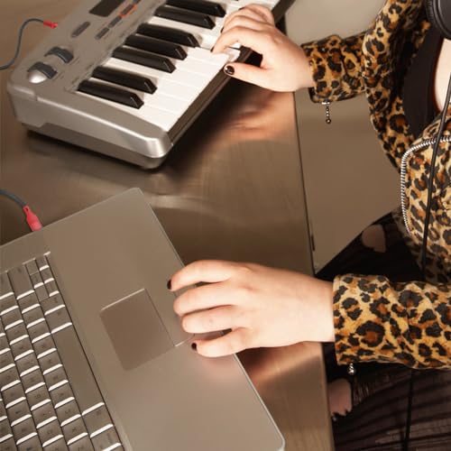 USB-C to 1/4 TS Audio Adapter Cable - 30cm