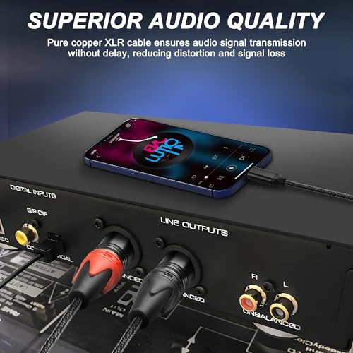 USB-C to Dual XLR Microphone Cable 2M