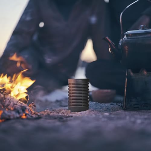 Wireless USB-C Speaker for Outdoors & Travel