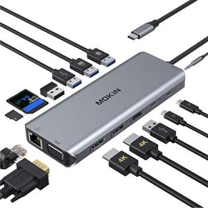 14 in 1 USB-C Docking Station with Dual Monitors