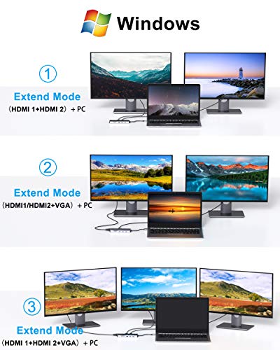 14 in 1 USB-C Docking Station with Dual Monitors