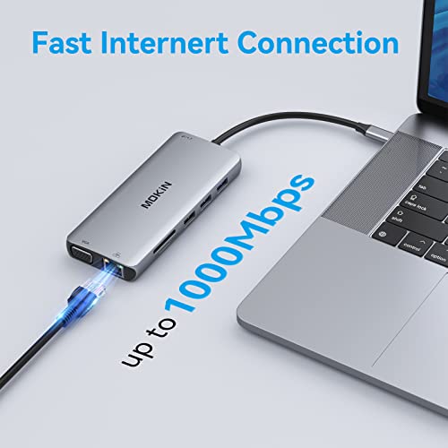 12-in-1 USB-C Docking Station with Dual HDMI