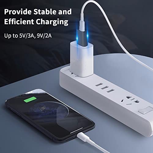 Maxhood USB-C to USB-A Adapter 10Gbps (2-Pack)