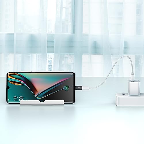 2-Pack Micro USB to USB-C Adapters