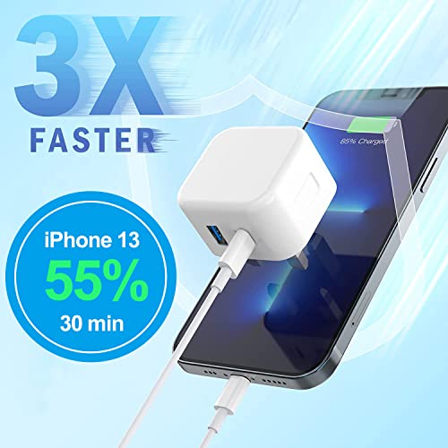 Bediaca Dual Port USB-C Fast Charger Adapter