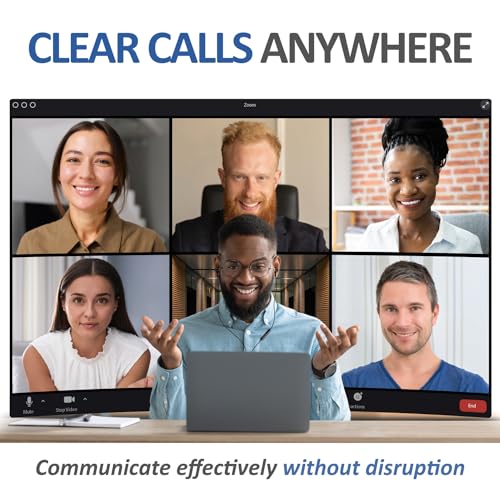 Ludos OMNITONE USB-C Earbuds for iPhone & Samsung