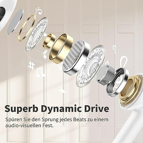 USB-C HiFi Stereo Earbuds with Microphone