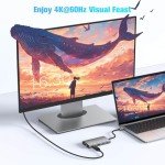 RSHTECH 9-in-1 USB-C Hub with 4K HDMI